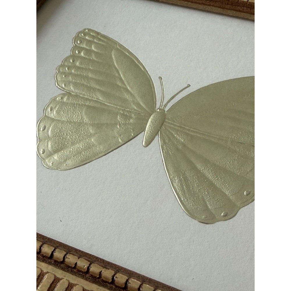 2005 "Bugs of Gold" Embossed Insect Prints – Kevin Lahvic – Gold Frames - Pier 1 - Picture 10 of 12
